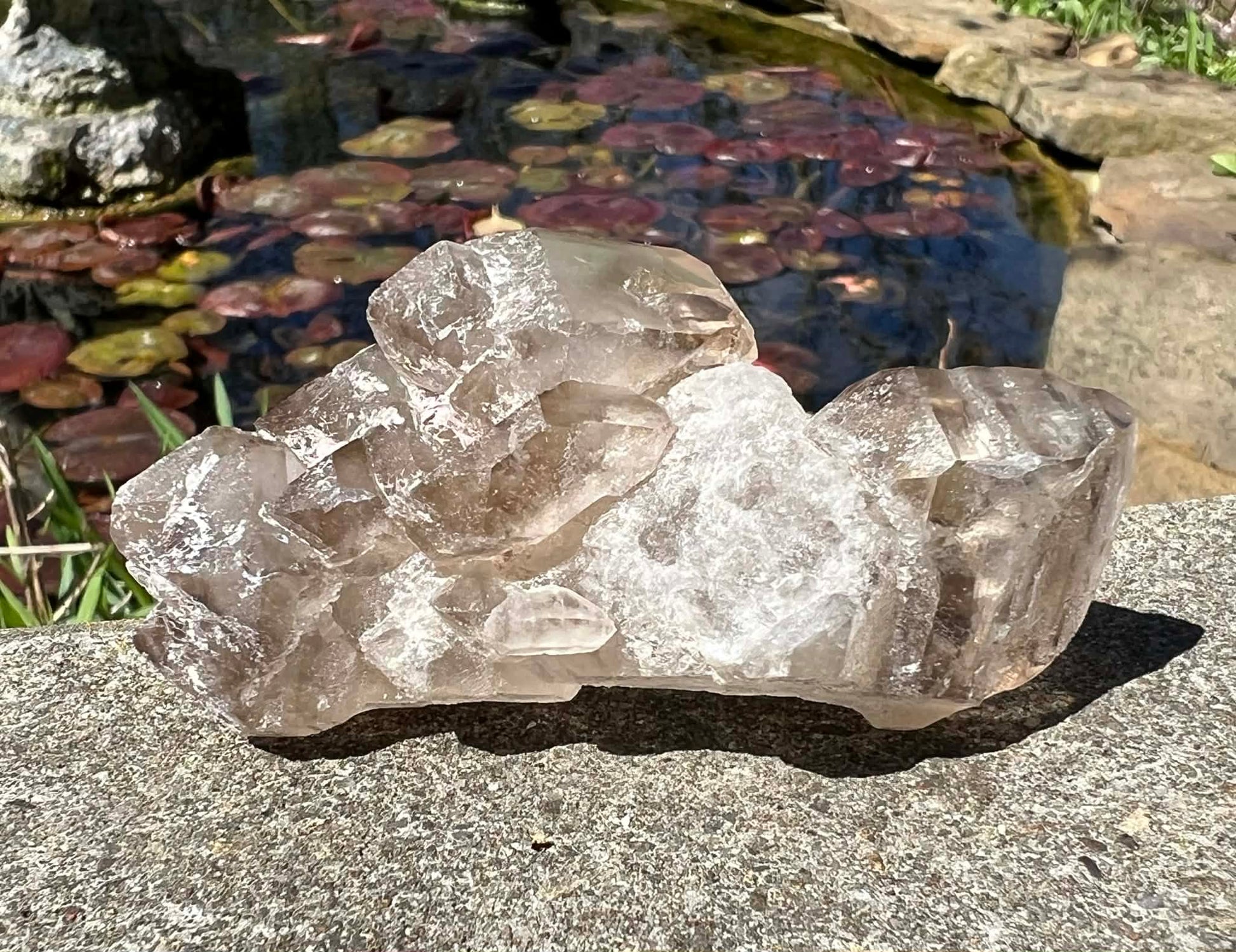 Smoky Elestial Quartz Specimen #7 - Gem Realm 