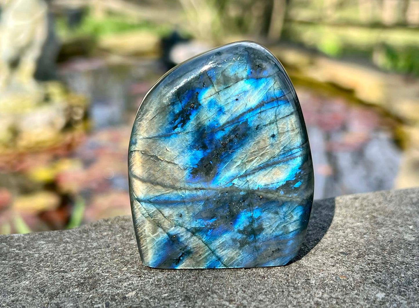 Labradorite Freeform - Gem Realm 