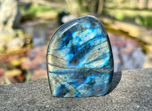 Labradorite Freeform - Gem Realm 