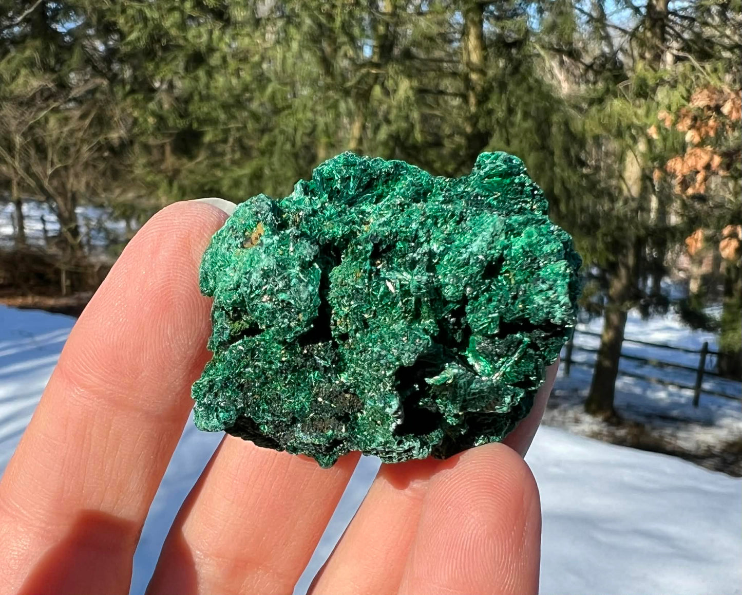 Silk Malachite Specimen #15 - Gem Realm 