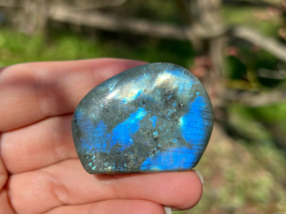 Labradorite Freeform - Mini - Gem Realm 