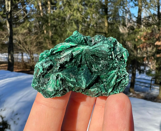 Silk Malachite Specimen #6