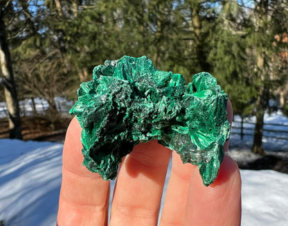 Silk Malachite Specimen #13 - Gem Realm 