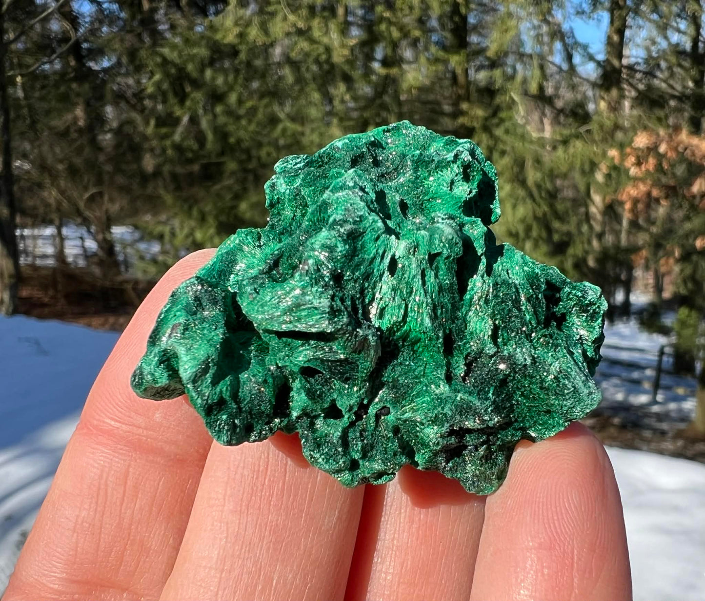Silk Malachite Specimen #24 - Gem Realm 