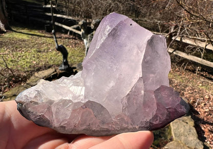 Amethyst Cluster Specimen ~ Brazil