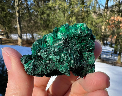 Silk Malachite Specimen #20 - Gem Realm 