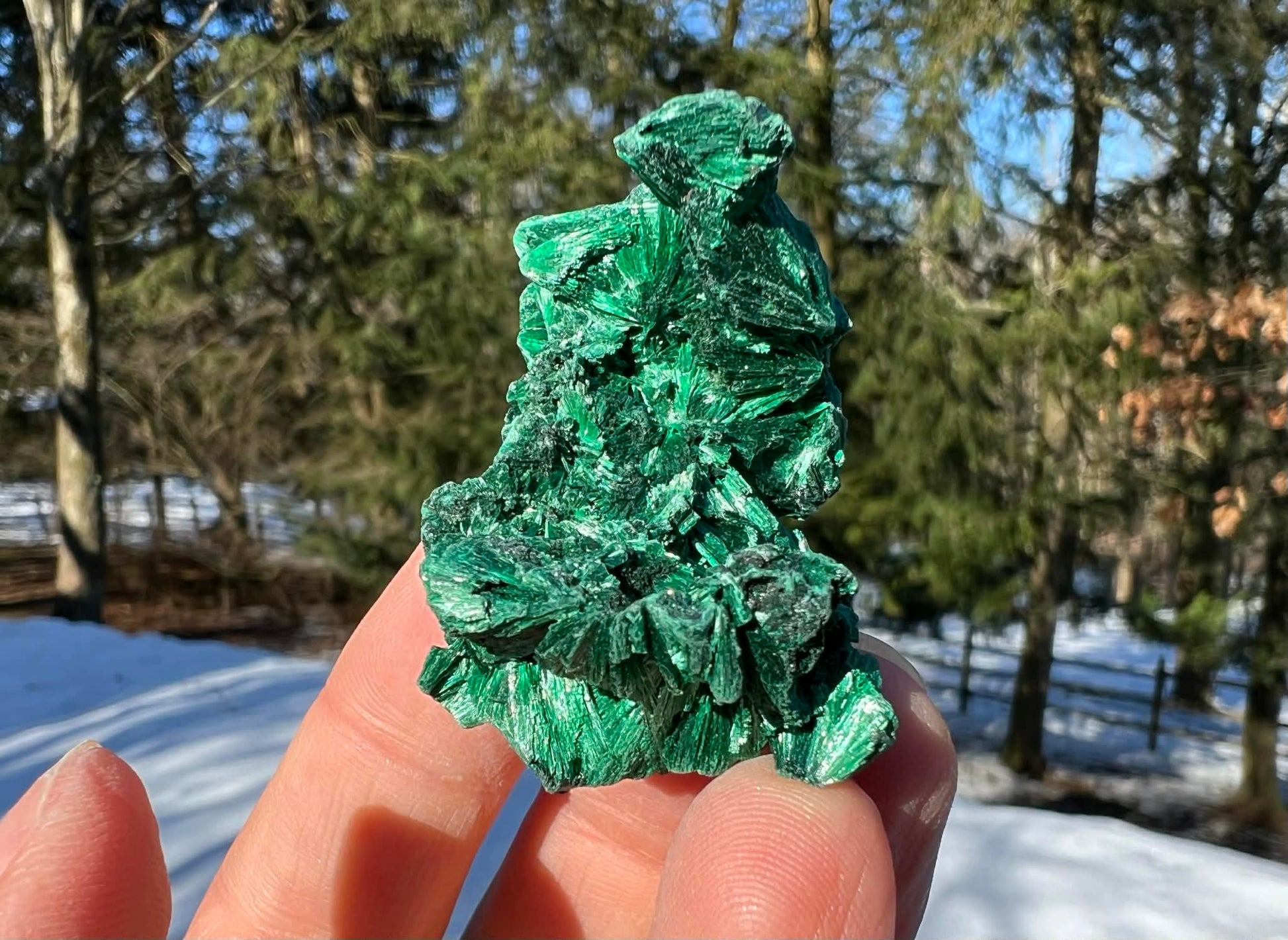 Silk Malachite Specimen #13 - Gem Realm 