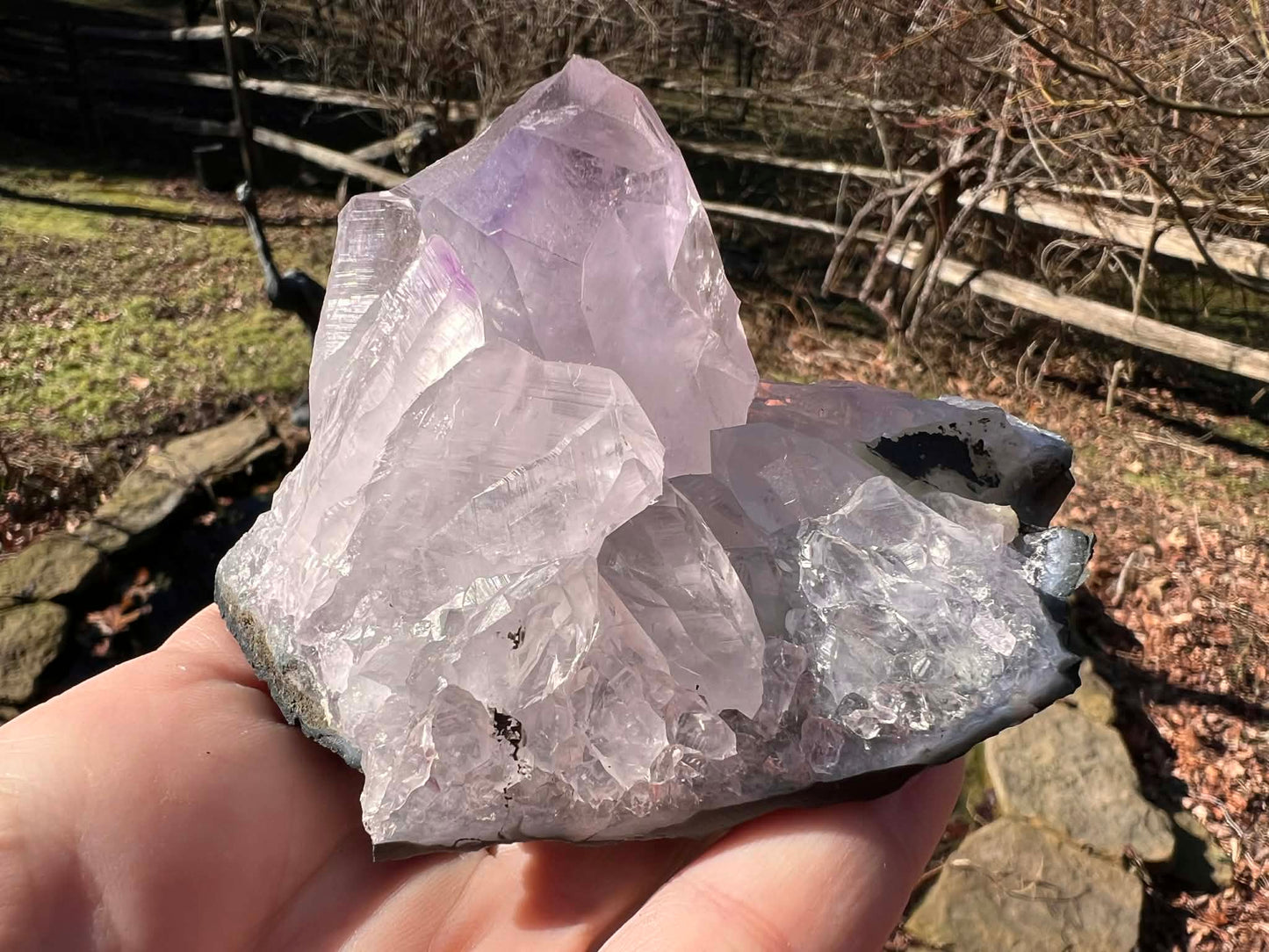 Amethyst Cluster Specimen ~ Brazil