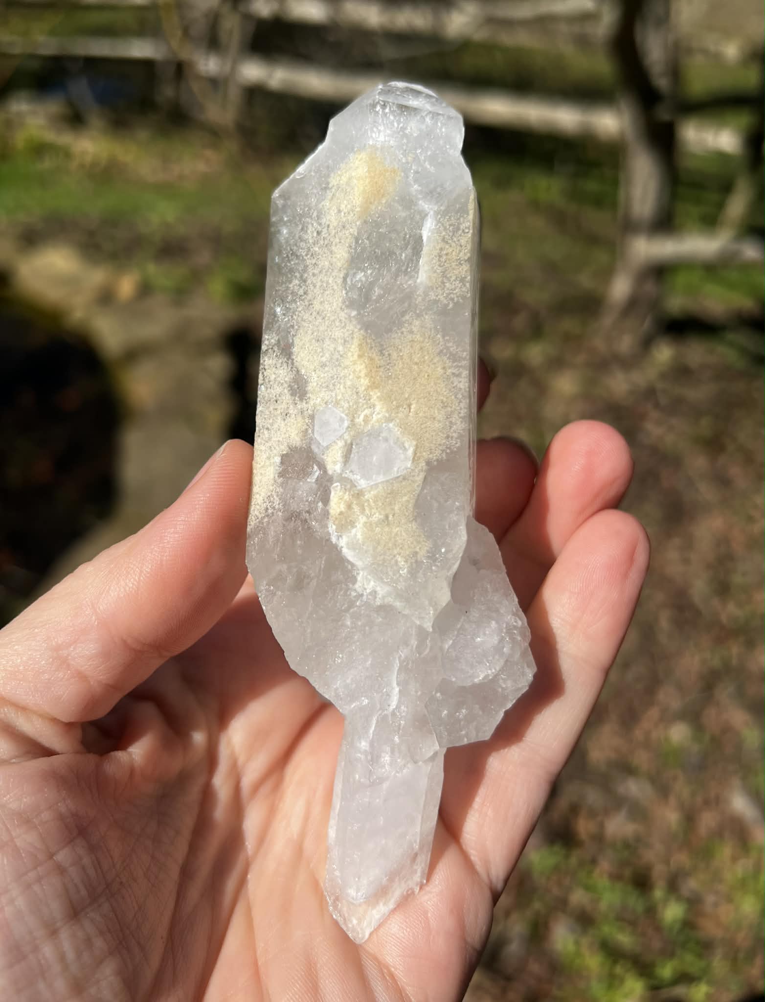 Quartz Crystal Specimen ~ with Chlorite - Gem Realm 