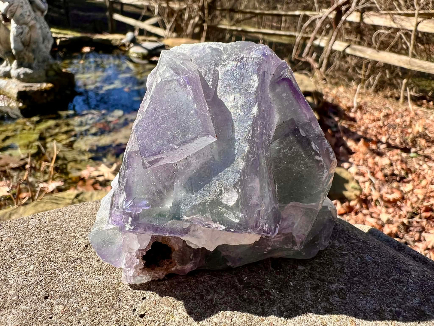 Rainbow Fluorite Specimen - Gem Realm 