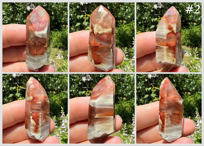 Amphibole Quartz Points