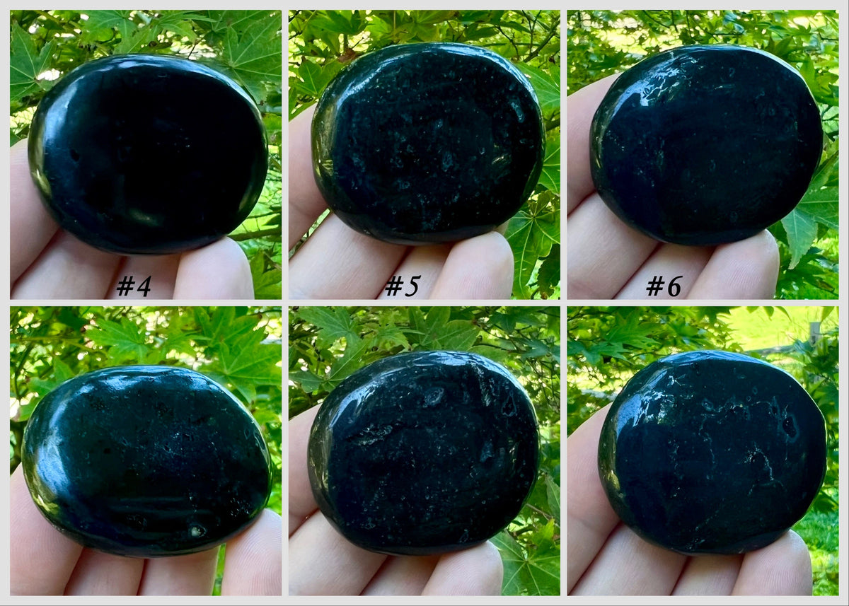 Black Tourmaline Palm Stones - Gem Realm 