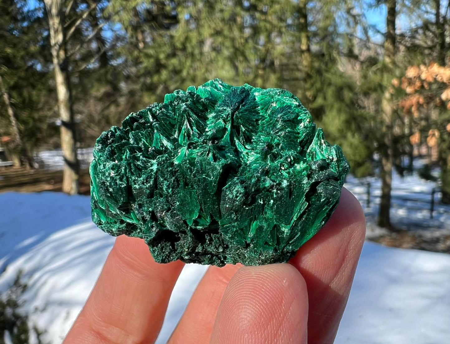 Silk Malachite Specimen #17 - Gem Realm 