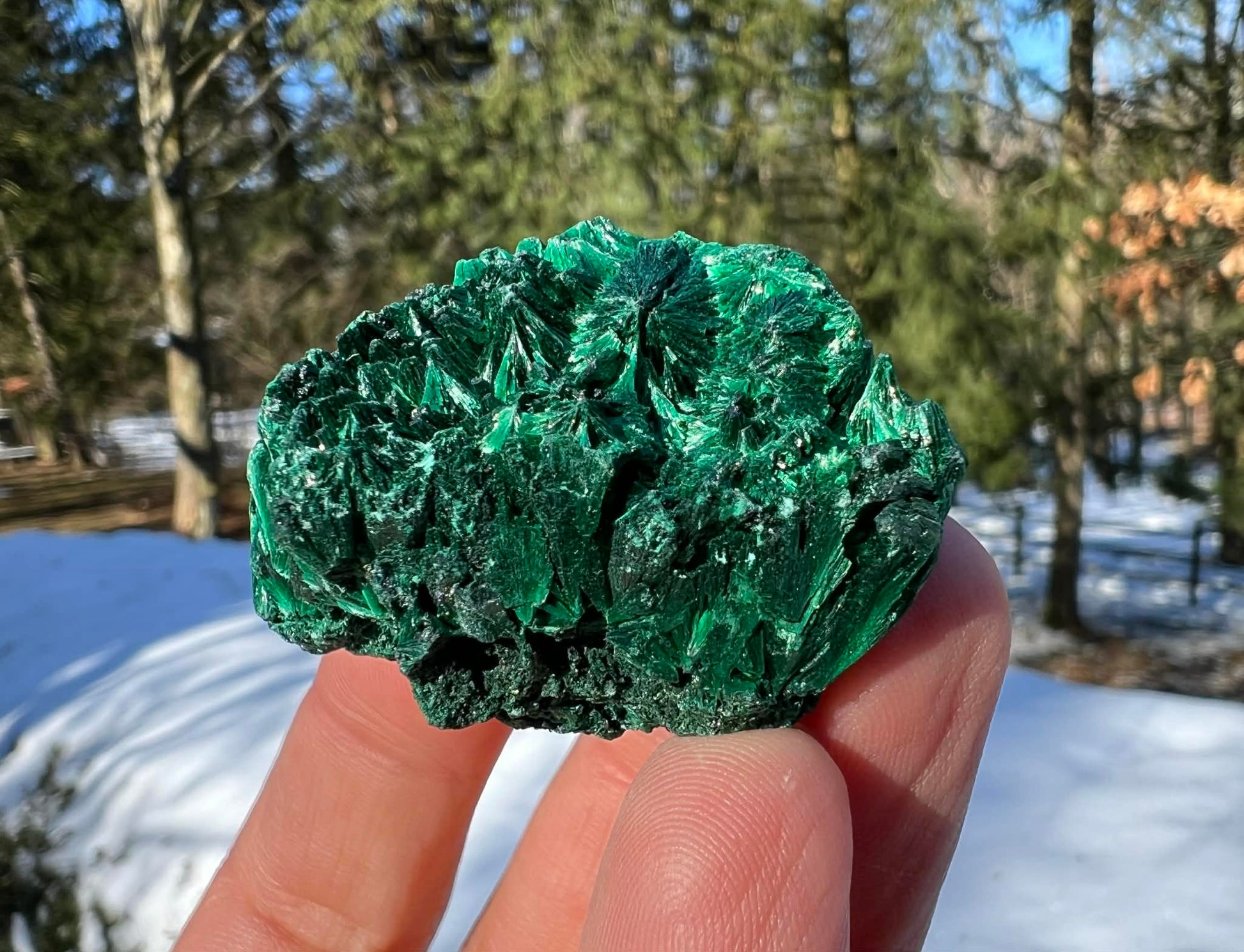 Silk Malachite Specimen #17 - Gem Realm 