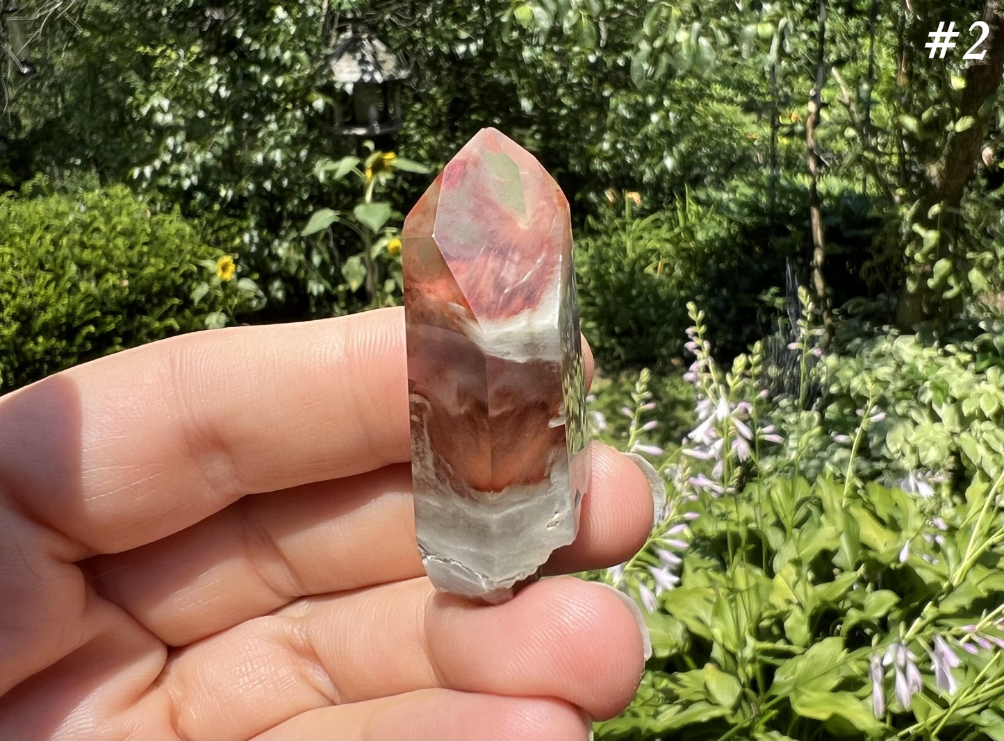 Amphibole Quartz Points