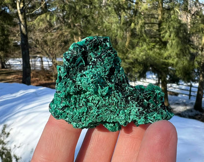 Silk Malachite Specimen #9 - Gem Realm 