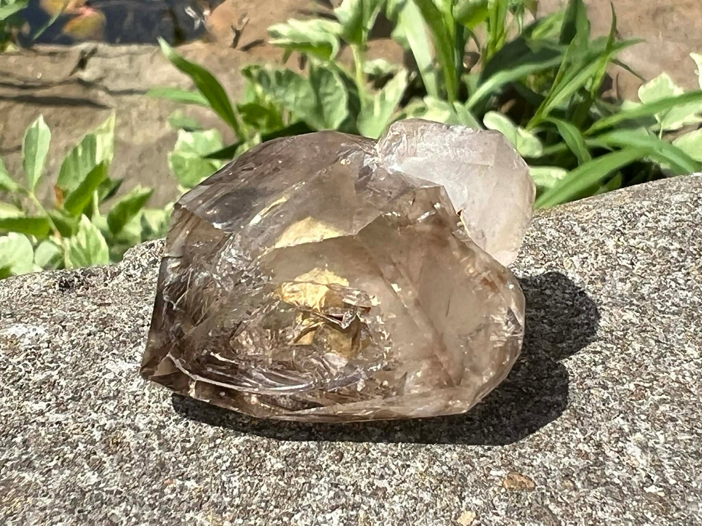 Smoky Elestial Quartz Specimen #10 - Gem Realm 