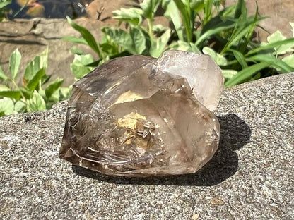 Smoky Elestial Quartz Specimen #10 - Gem Realm 