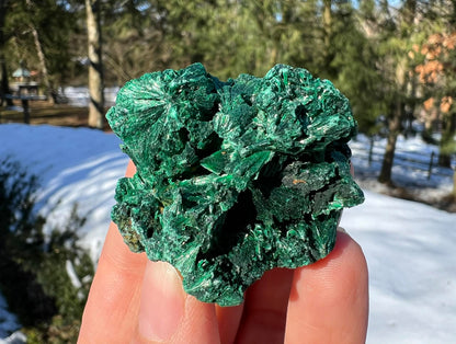 Silk Malachite Specimen #15 - Gem Realm 