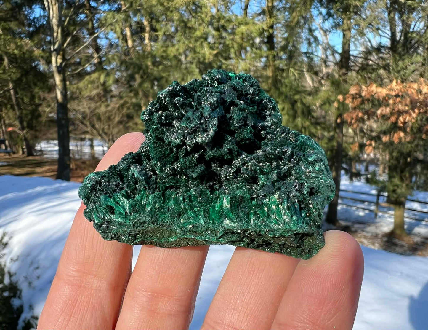 Silk Malachite Specimen #8 - Gem Realm 