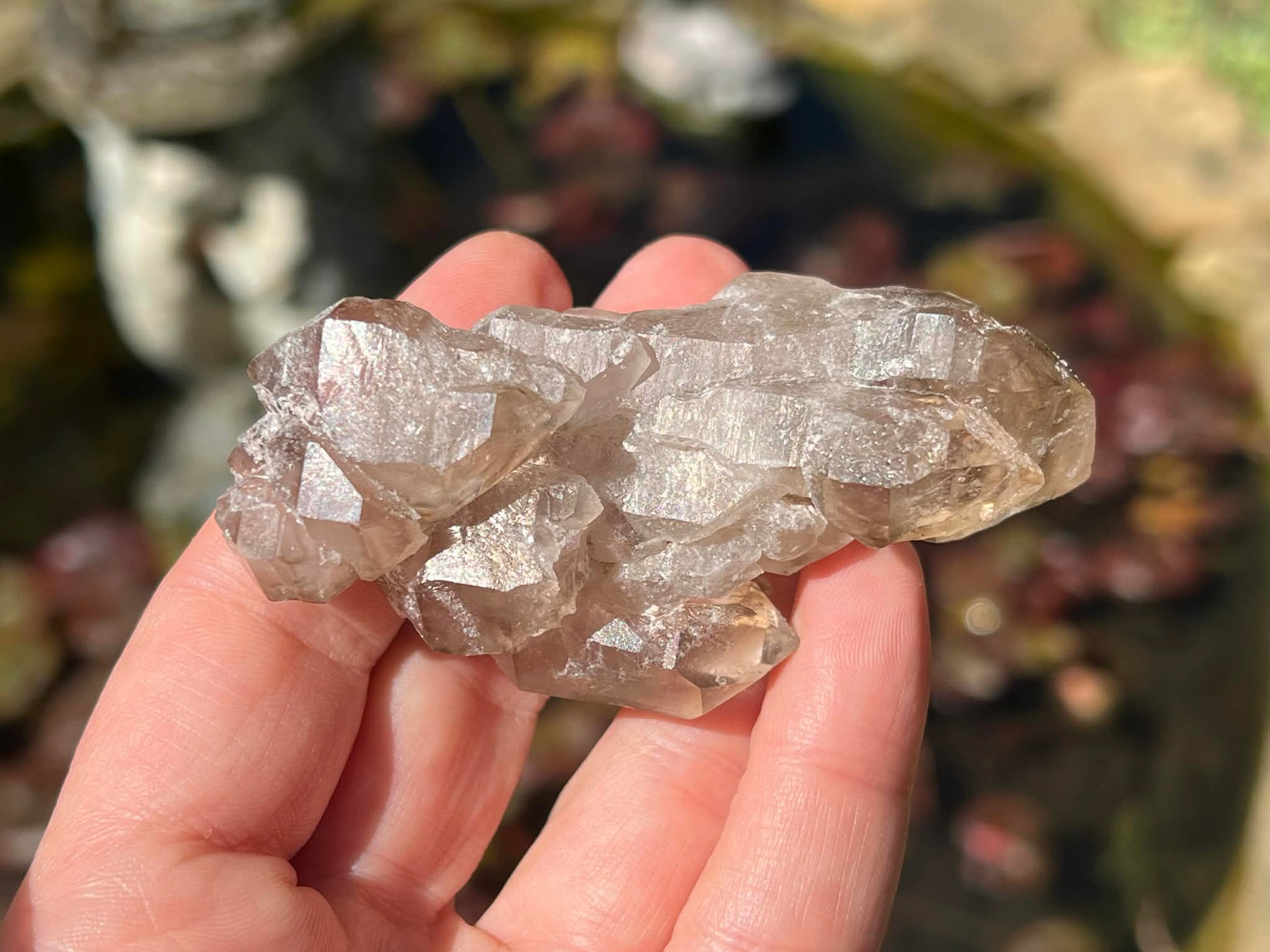 Smoky Elestial Quartz Specimen #7 - Gem Realm 