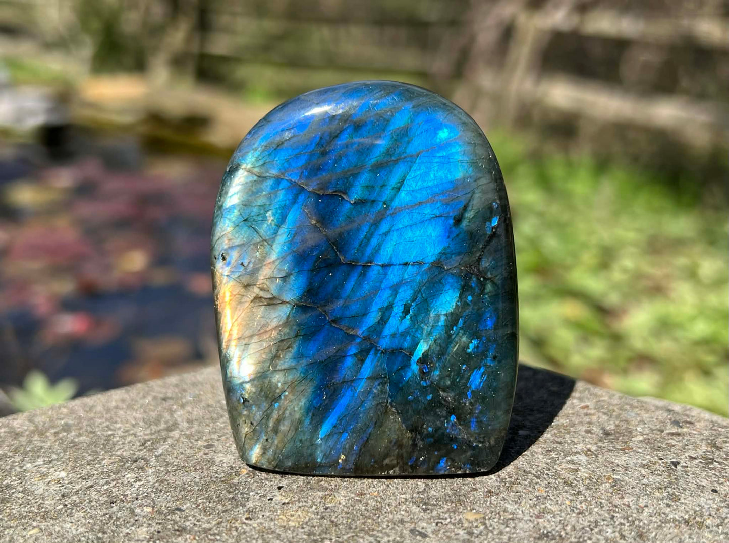 Labradorite Freeform - Gem Realm 