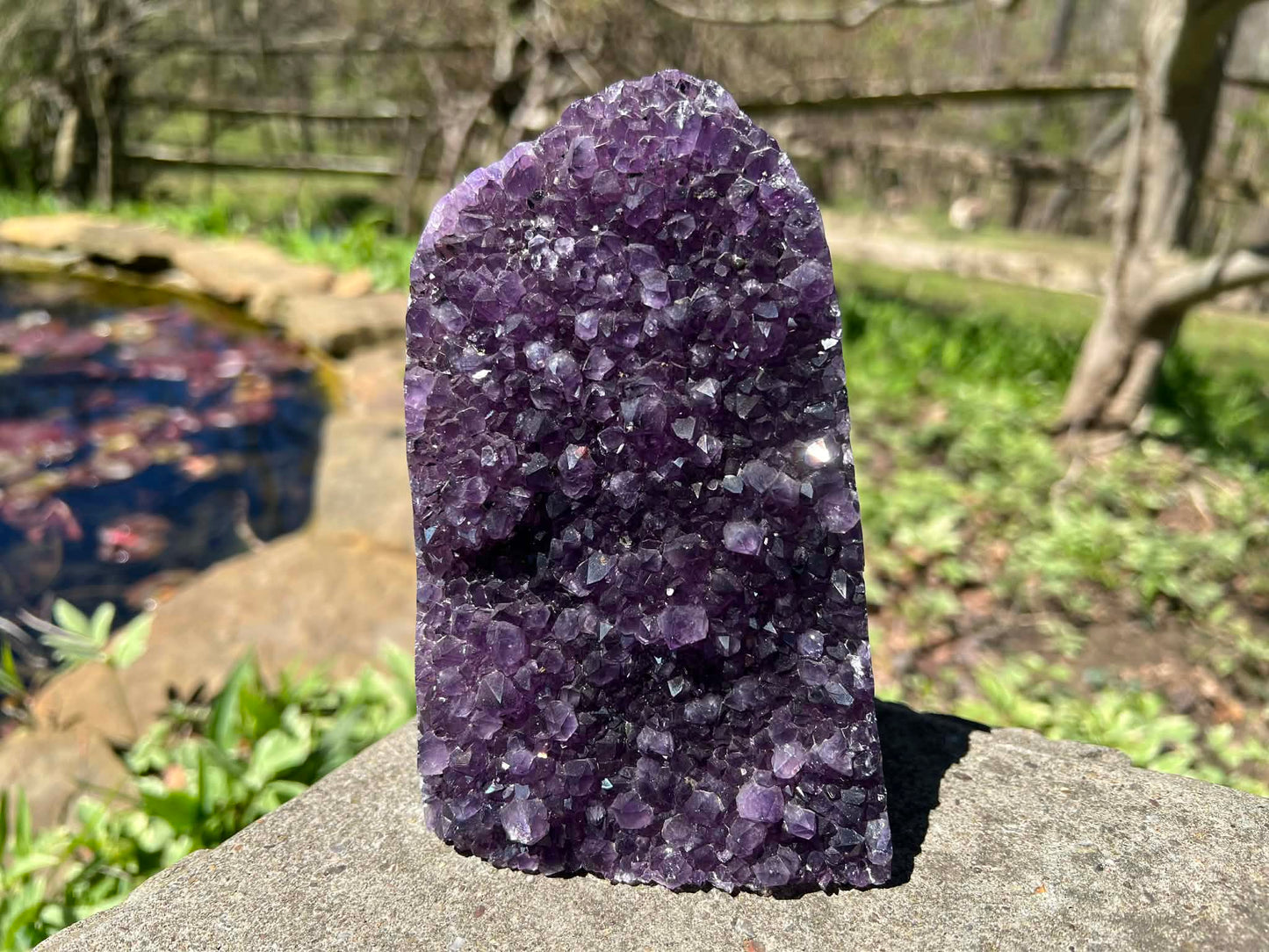 Amethyst Geode - Gem Realm 