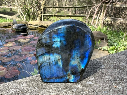 Labradorite Freeform - Mini - Gem Realm 