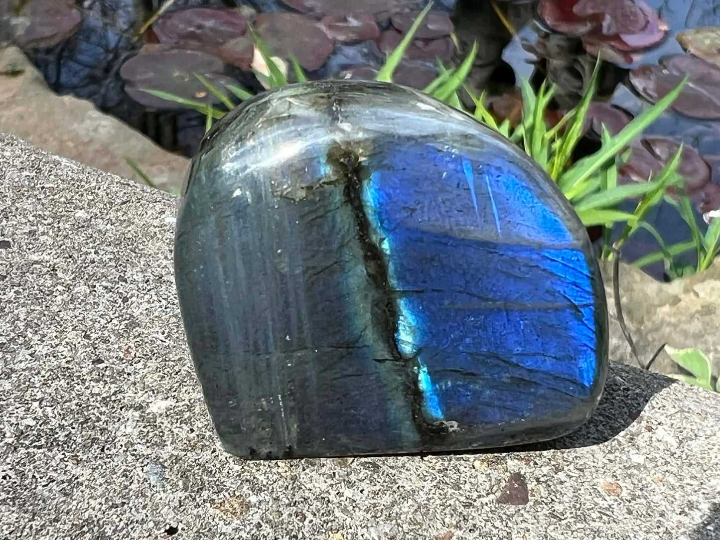 Labradorite Freeform - Mini - Gem Realm 
