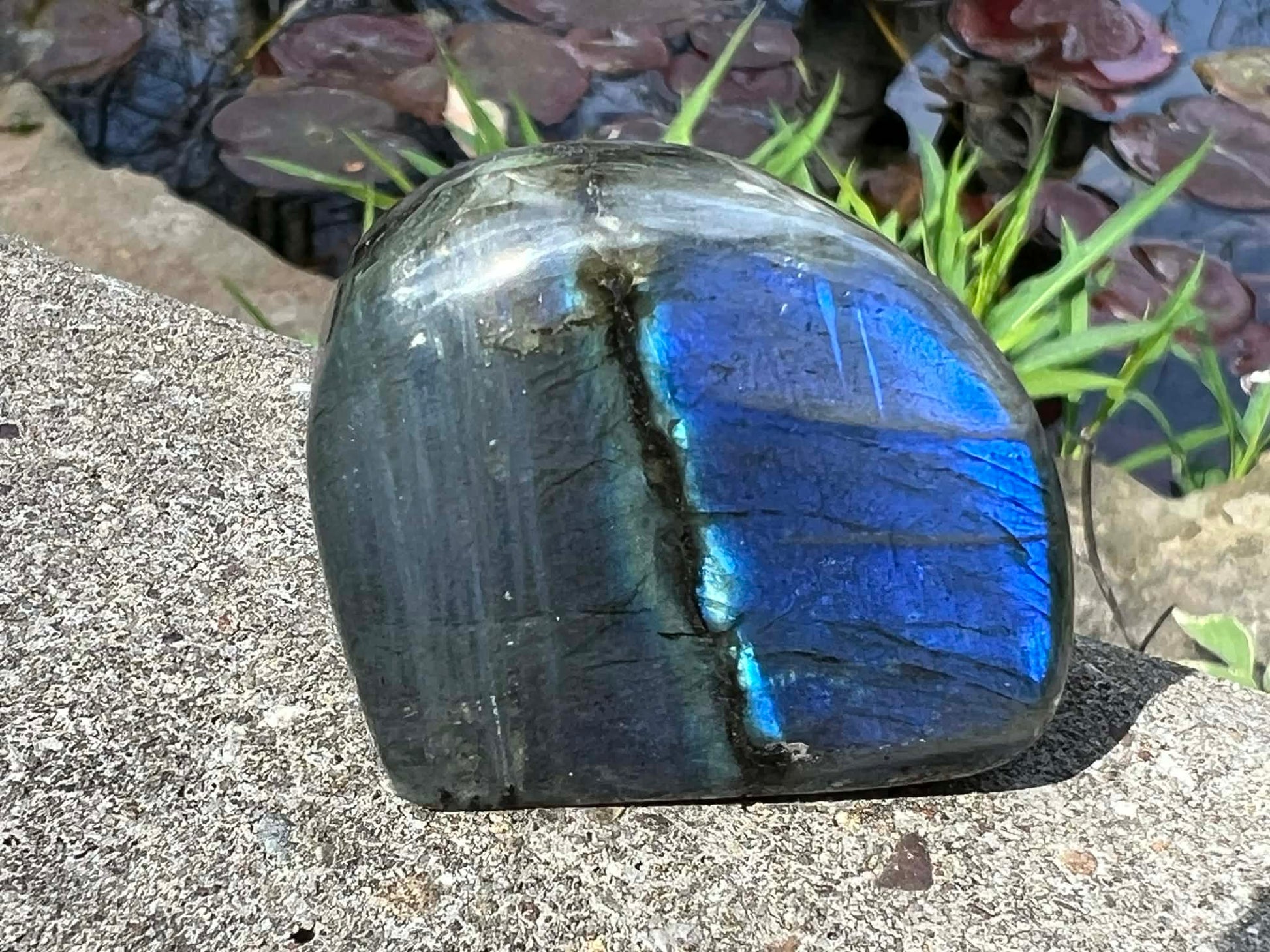 Labradorite Freeform - Mini - Gem Realm 