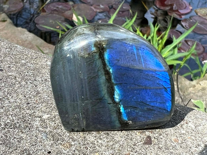 Labradorite Freeform - Mini - Gem Realm 