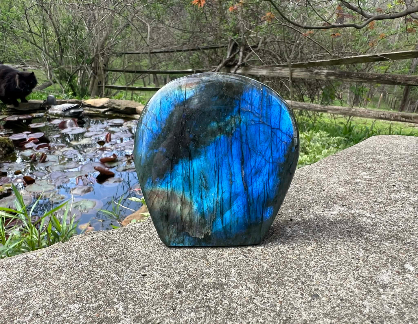 Labradorite Freeform - Gem Realm 