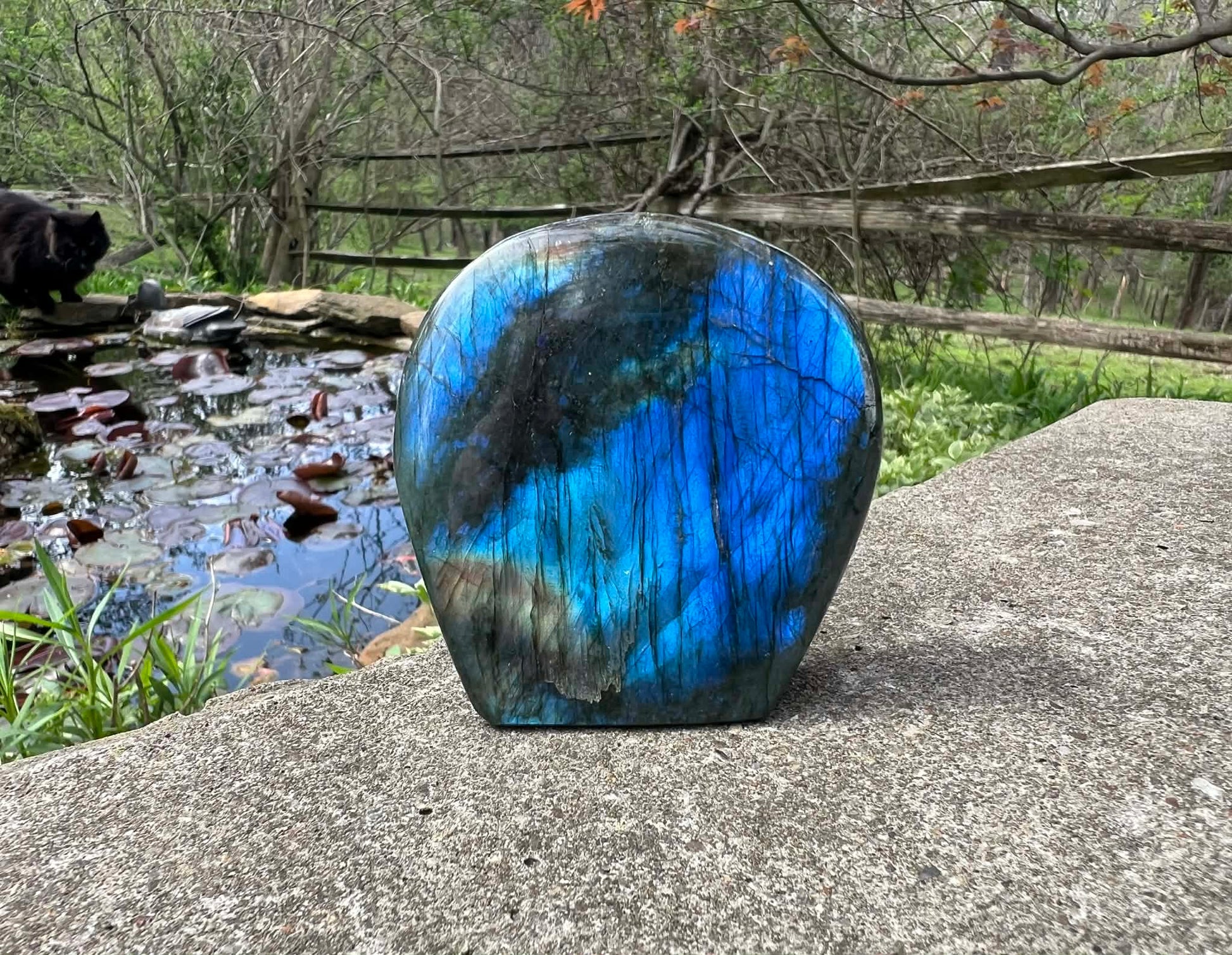 Labradorite Freeform - Gem Realm 