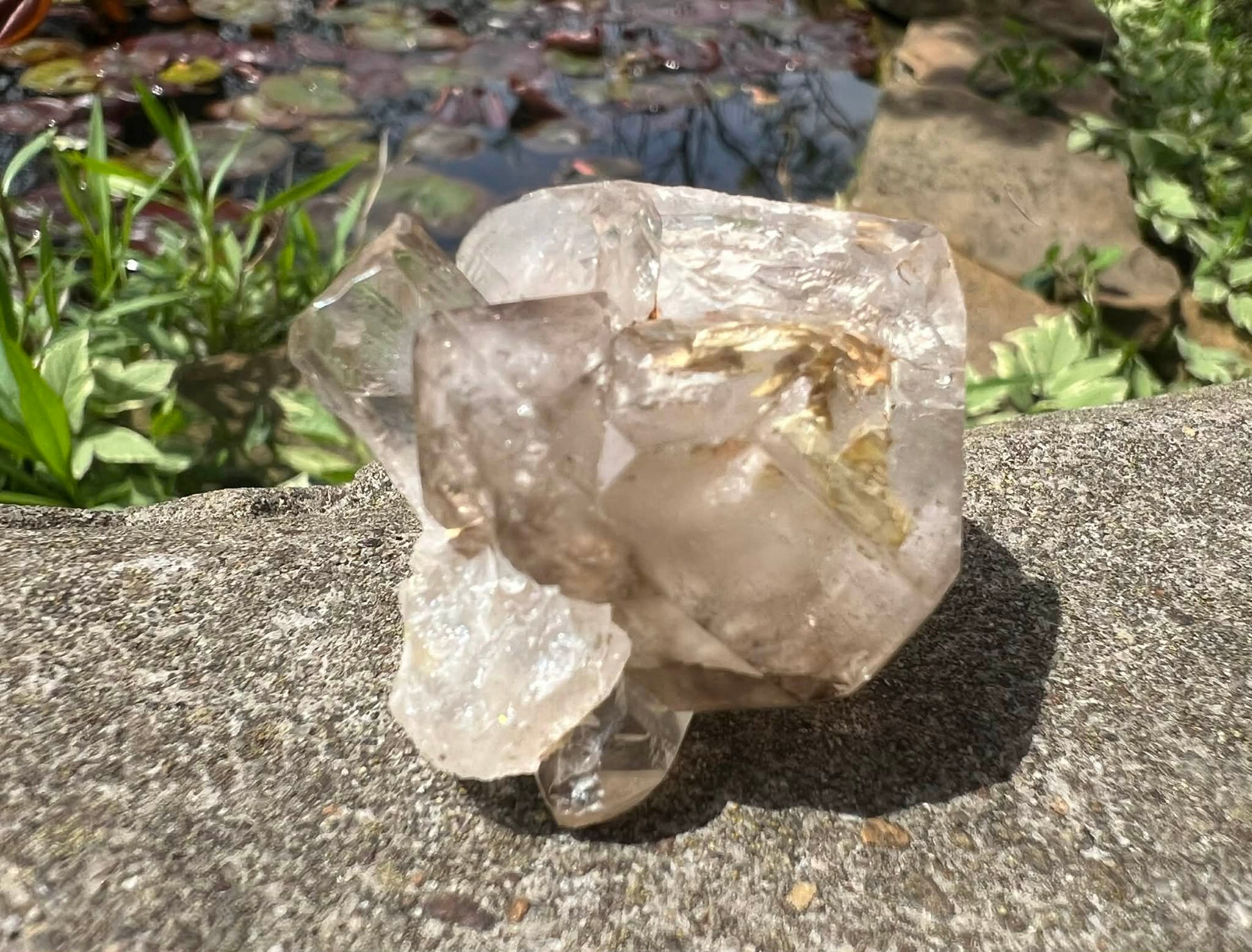 Smoky Elestial Quartz Specimen #12 - Gem Realm 