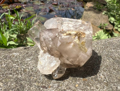 Smoky Elestial Quartz Specimen #12 - Gem Realm 