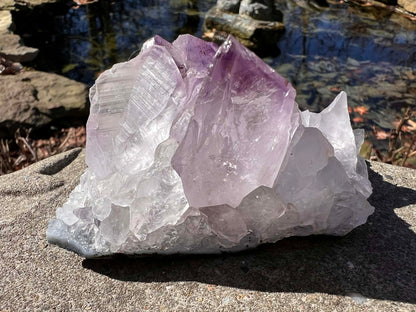 Amethyst Cluster Specimen ~ Brazil