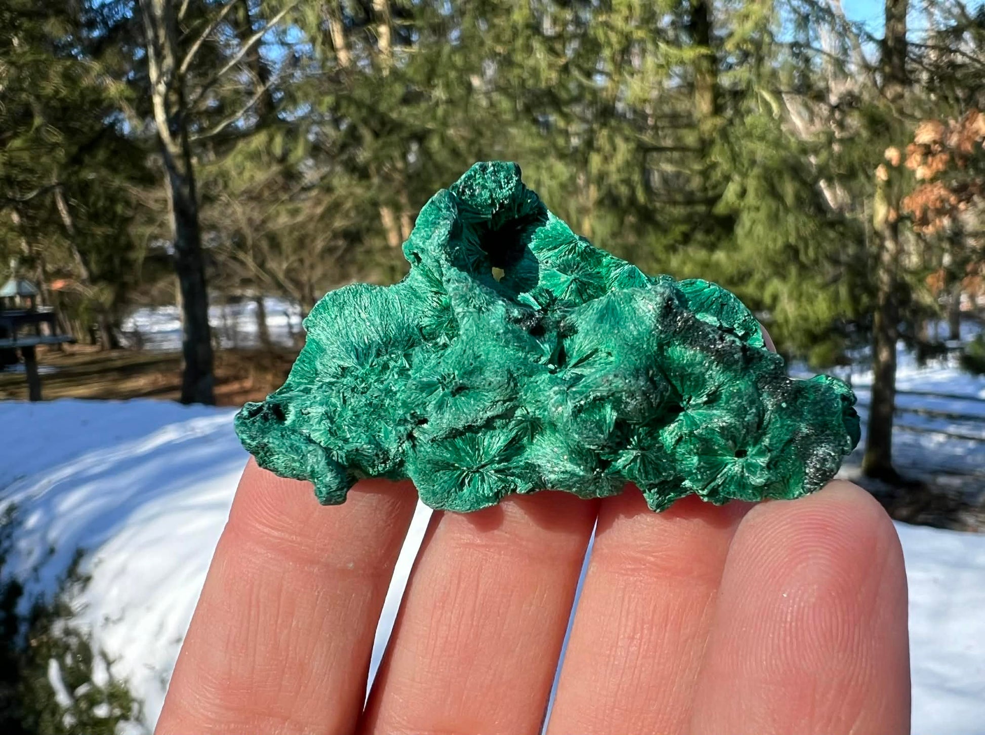 Silk Malachite Specimen #11 - Gem Realm 