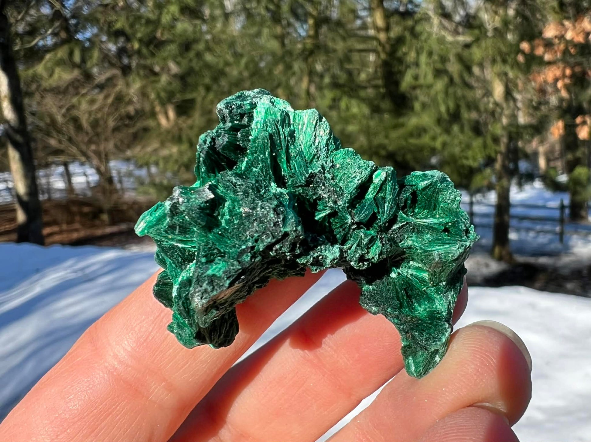 Silk Malachite Specimen #13 - Gem Realm 