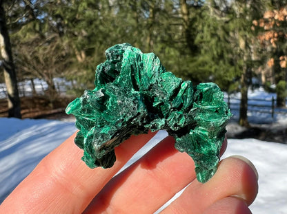 Silk Malachite Specimen #13 - Gem Realm 