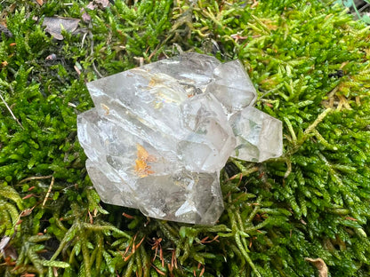 Smoky Elestial Quartz Specimen #12 - Gem Realm 