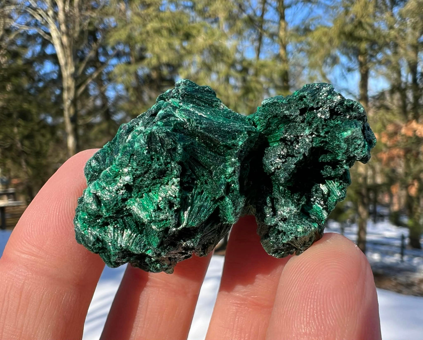 Silk Malachite Specimen #18 - Gem Realm 