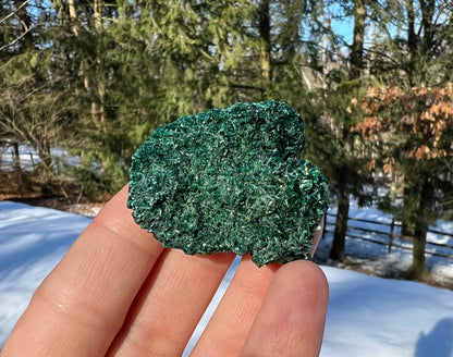 Silk Malachite Specimen #7 - Gem Realm 