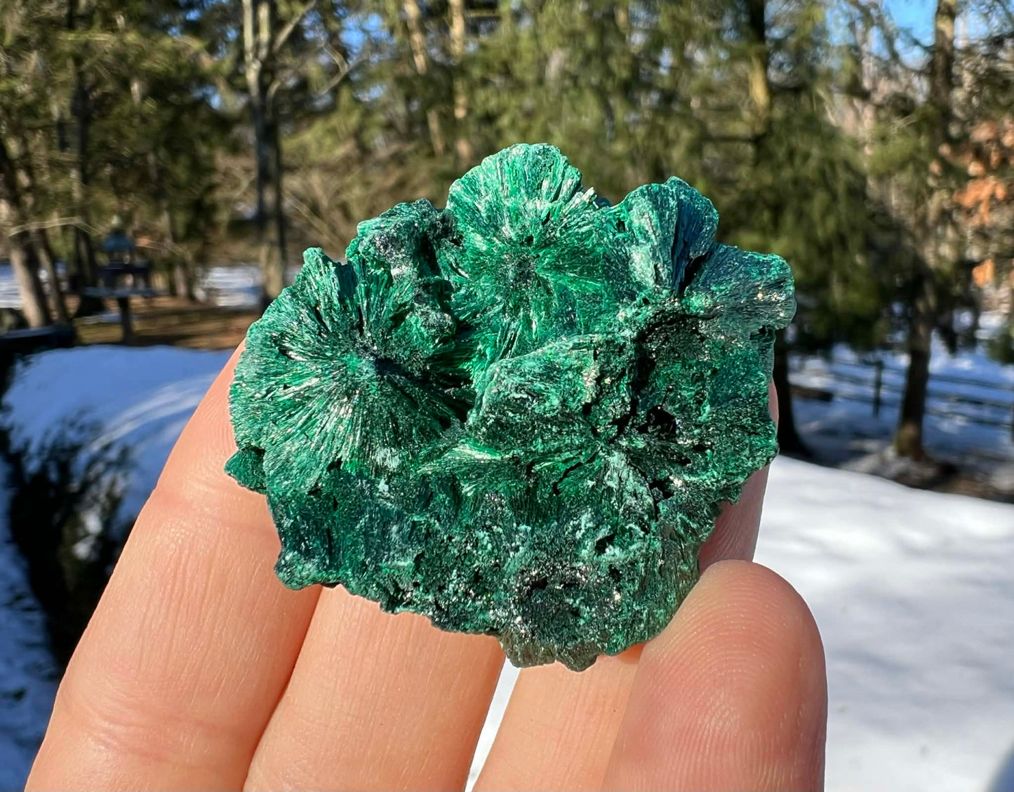 Silk Malachite Specimen #4