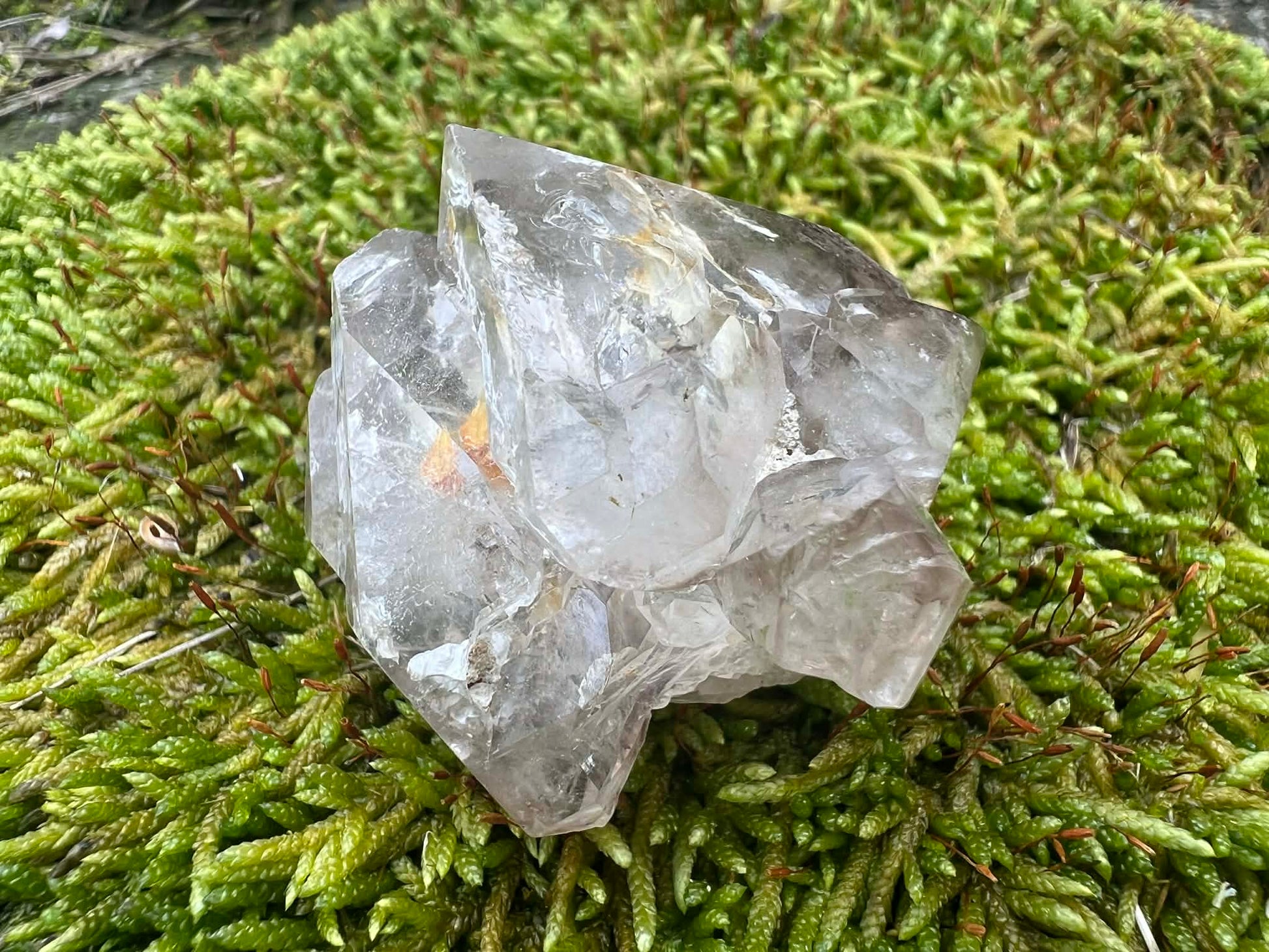 Smoky Elestial Quartz Specimen #12 - Gem Realm 