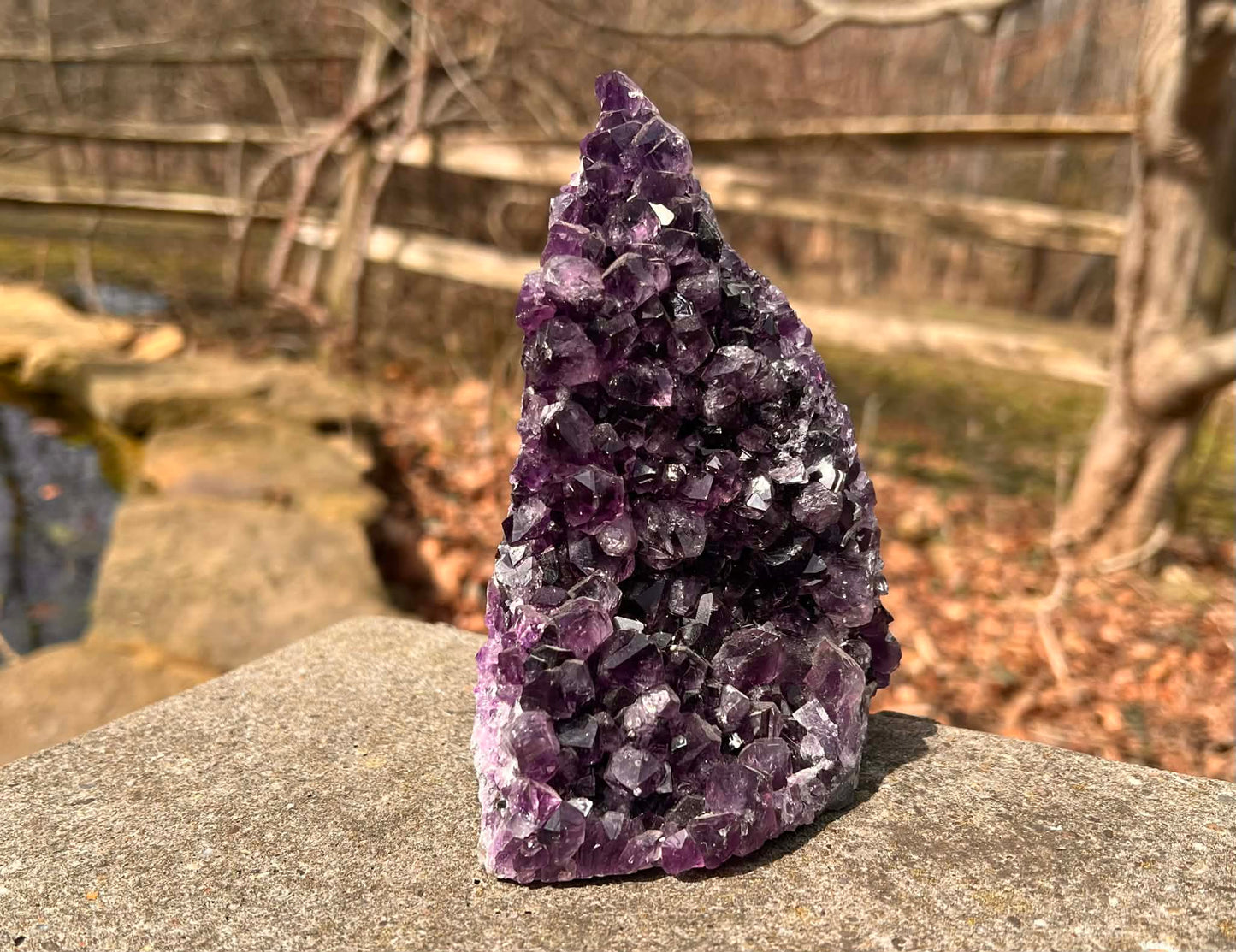 Amethyst Geode - Gem Realm 