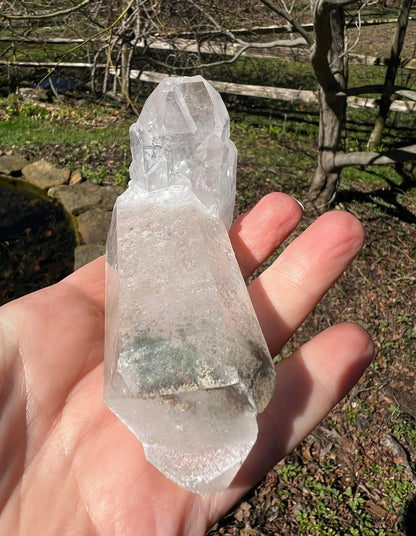 Quartz Crystal Specimen ~ with Chlorite - Gem Realm 