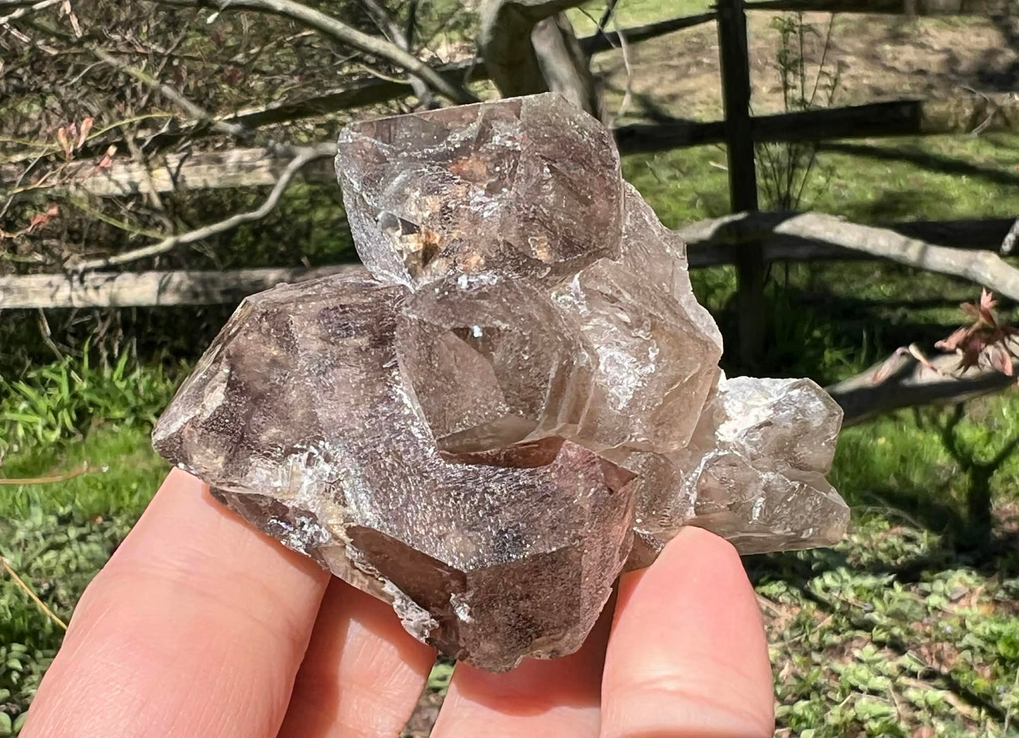 Smoky Elestial Quartz Specimen #9 - Gem Realm 