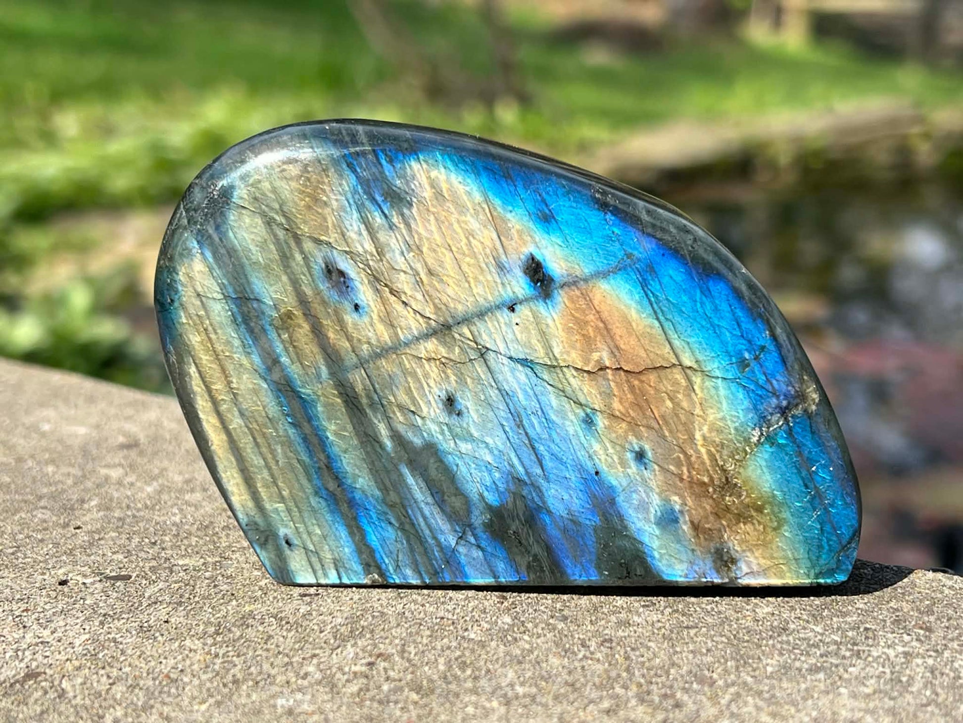 Labradorite Freeform - Gem Realm 