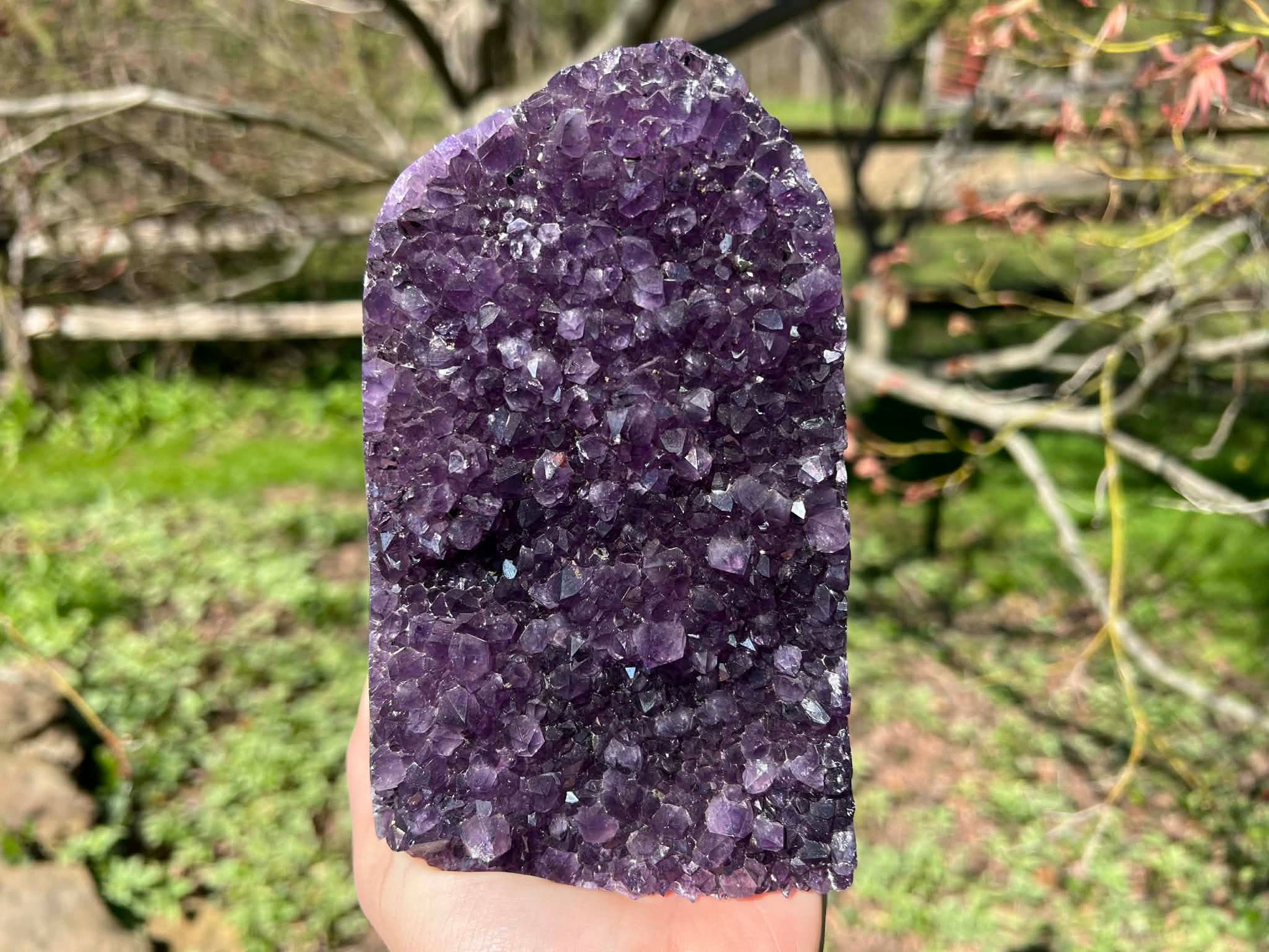 Amethyst Geode - Gem Realm 