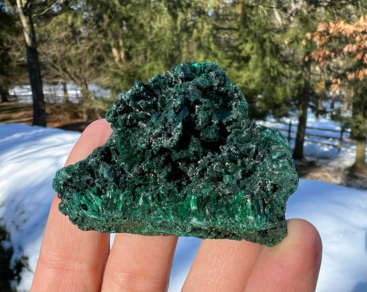 Silk Malachite Specimen #8 - Gem Realm 